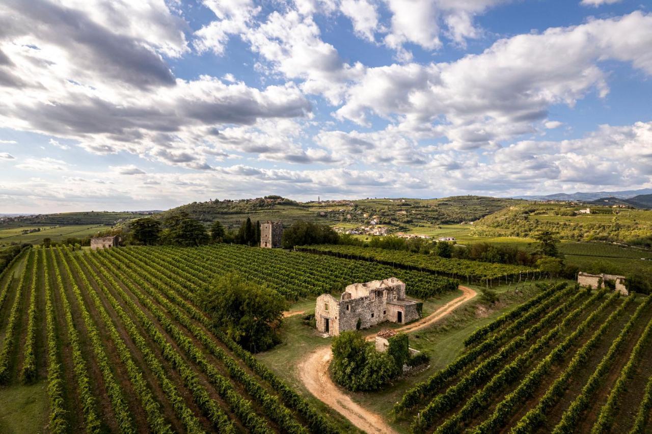 Agriturismo Monte Bisson Soave  Ngoại thất bức ảnh